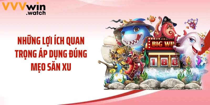 Những lợi ích quan trọng áp dụng đúng mẹo săn xu