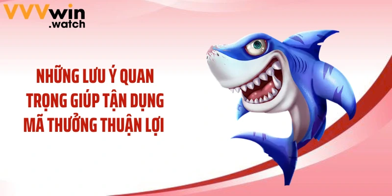 Những lưu ý quan trọng giúp tận dụng mã thưởng thuận lợi